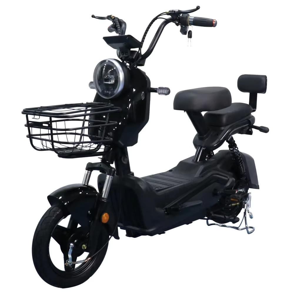 QQW Zuverlässiges Elektrofahrr – Electric Scooter 500W Bewertung und Preis