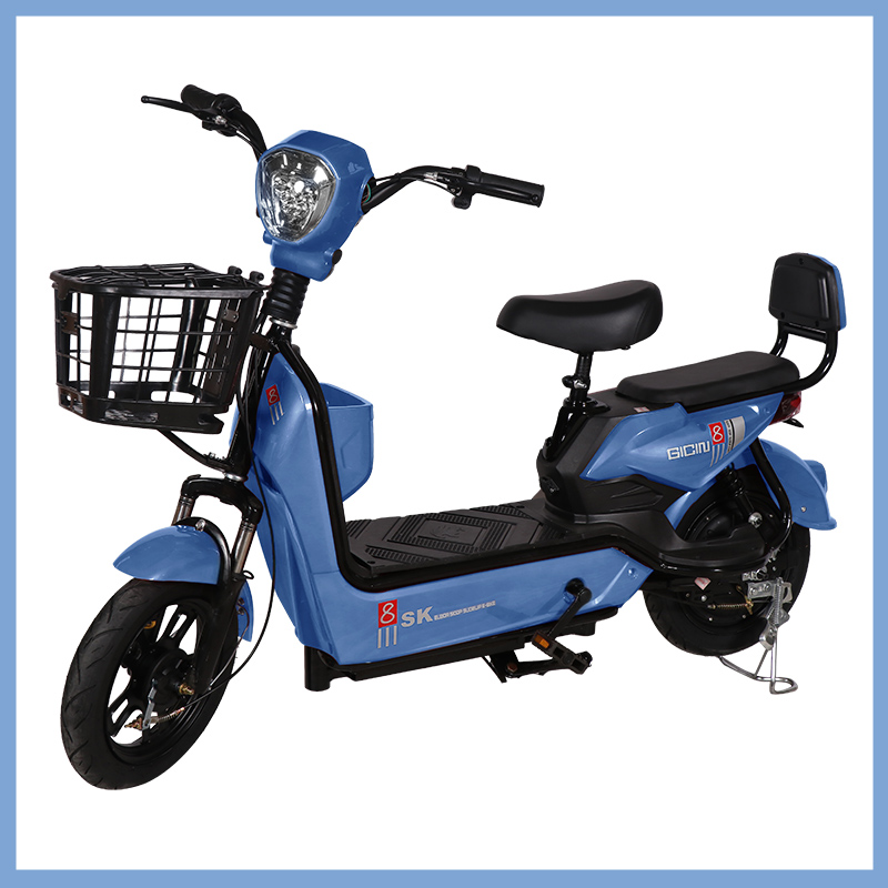 YTYIN Großhandel City E-Bike B – Folding Electric Scooter Bewertung und Preis