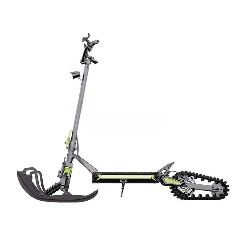 Neuankömmling 3-in-1 Eretic Sc – Electric Scooter Bewertung und Preis